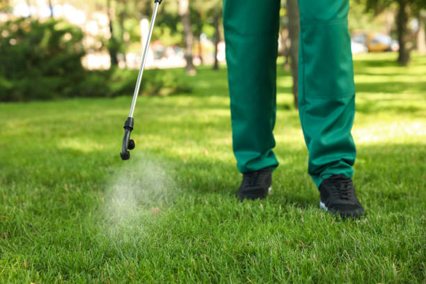 Best Affordable Pest Control Services  in El Verano, CA