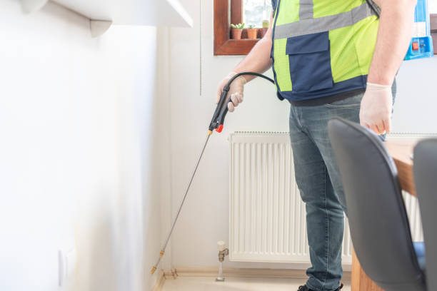 Best Local Pest Control Services  in El Verano, CA