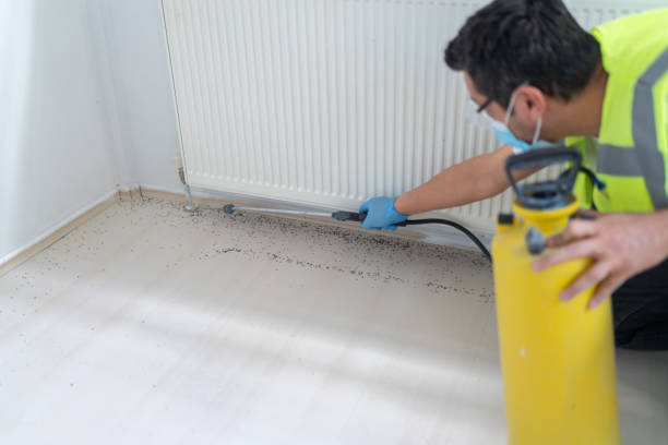 Best Pest Removal Services  in El Verano, CA