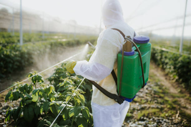 Best Pest Inspection Near Me  in El Verano, CA